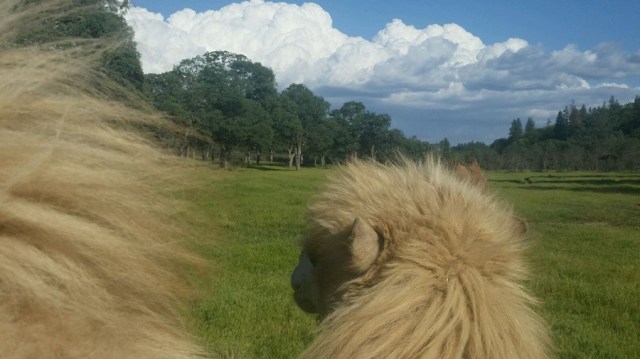 PART_1431021949571_20150506_1728201