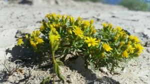 PART_1415204865261_20141103_1257211