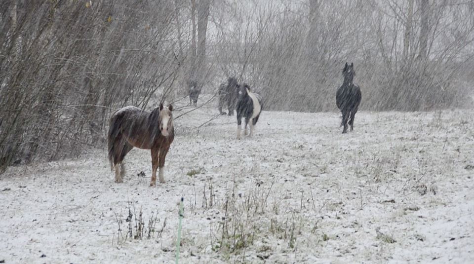 24991111_2148654245150300_5511527071054601491_n