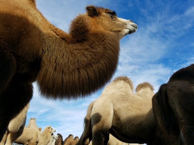 24059618_10214605778077805_1466278376767114048_o