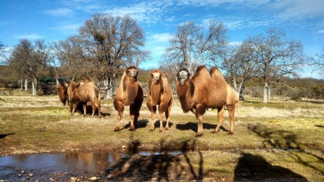 543530_10200546469323873_1150808279_n