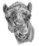 ca625096537141c601645c310b36ed1f